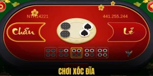 Chơi xốc đĩa