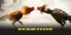 Đá gà thomo