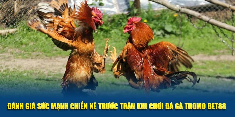 Bí kíp chọn cửa cược có tỷ lệ thắng cao cho bạn