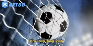 Kèo Chấp Đồng Banh - Thông Tin Cược Cực Hot Hit Năm 2025