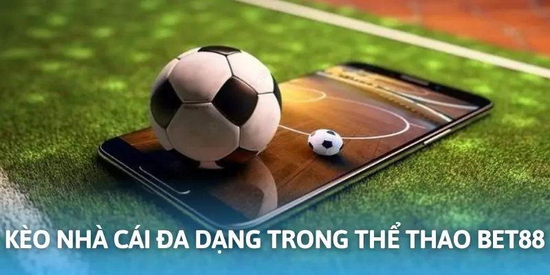 Kèo cược thể thao cung cấp đa dạng