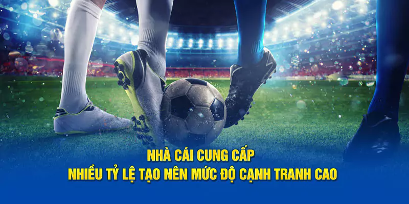 Nhà cái cung cấp nhiều tỷ lệ tạo nên mức độ cạnh tranh cao