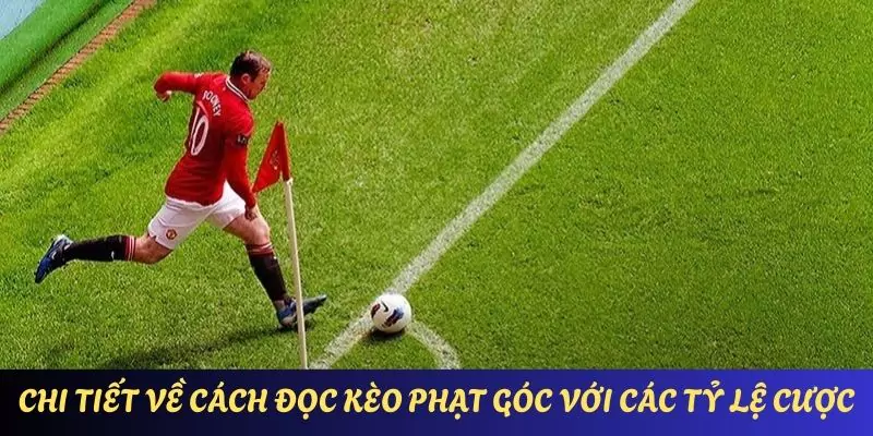 Tỉ lệ cược kèo phạt góc